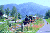These are cool trains