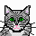 A Pussy Cat
